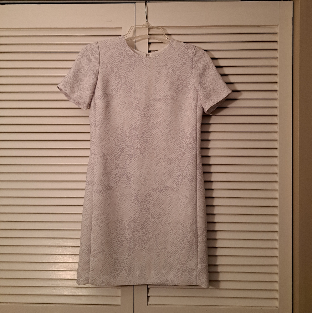 Babaton Mini Dress